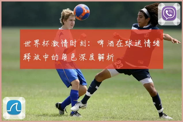 世界杯激情时刻：啤酒在球迷情绪释放中的角色深度解析