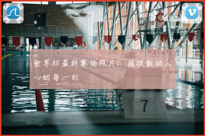 世界杯最新赛场照片：捕捉激动人心的每一刻