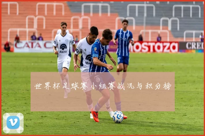 世界杯足球赛小组赛战况与积分榜