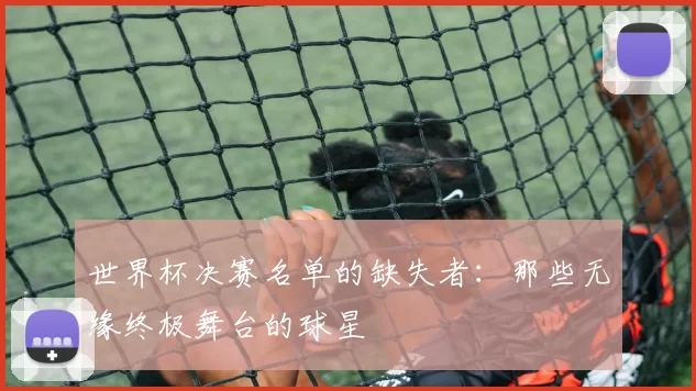 世界杯决赛名单的缺失者：那些无缘终极舞台的球星