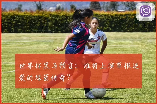 世界杯黑马预言：谁将上演草根逆袭的绿茵传奇？