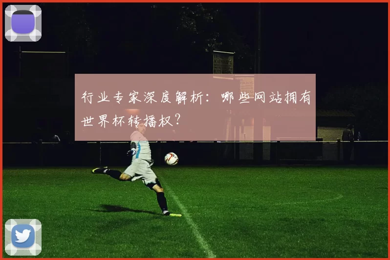 行业专家深度解析：哪些网站拥有世界杯转播权？