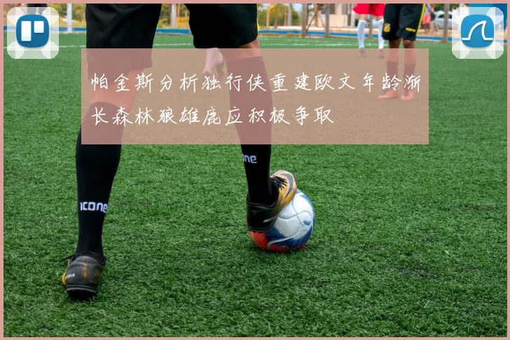 帕金斯分析独行侠重建欧文年龄渐长森林狼雄鹿应积极争取