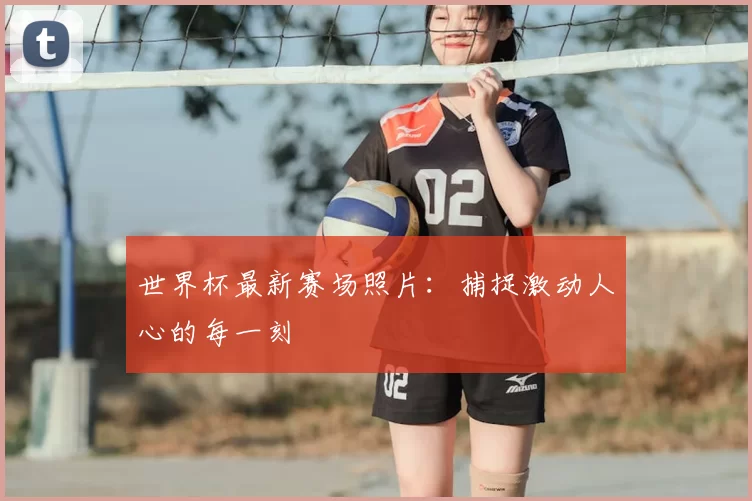 世界杯最新赛场照片：捕捉激动人心的每一刻