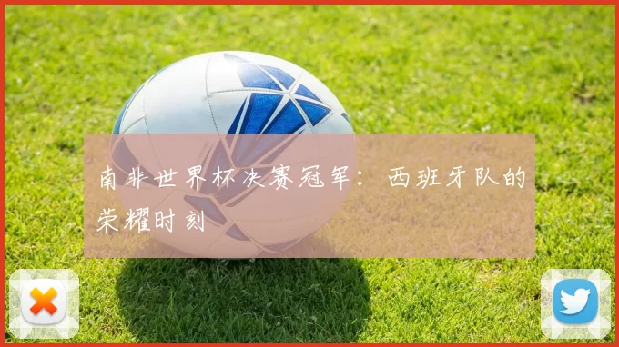 南非世界杯决赛冠军：西班牙队的荣耀时刻