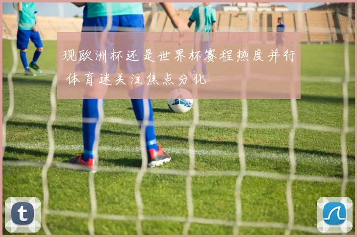 现欧洲杯还是世界杯赛程热度并行 体育迷关注焦点分化
