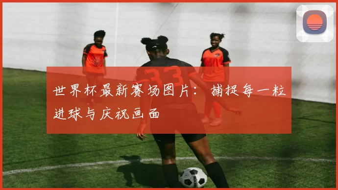 世界杯最新赛场图片：捕捉每一粒进球与庆祝画面