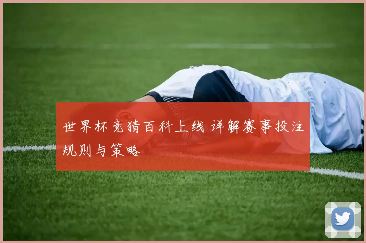 世界杯竞猜百科上线 详解赛事投注规则与策略