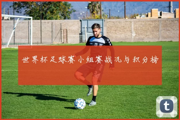 世界杯足球赛小组赛战况与积分榜