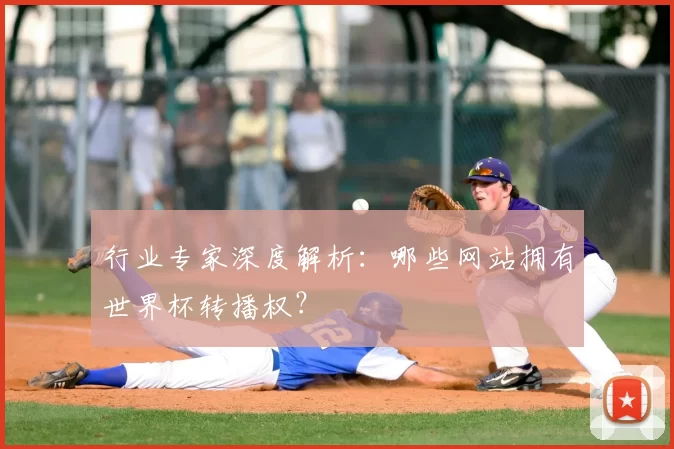 行业专家深度解析：哪些网站拥有世界杯转播权？
