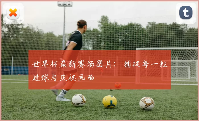 世界杯最新赛场图片：捕捉每一粒进球与庆祝画面